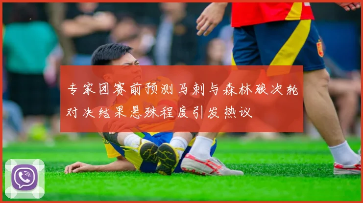 专家团赛前预测马刺与森林狼次轮对决结果悬殊程度引发热议