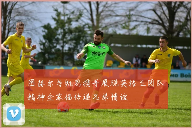 图赫尔与凯恩携手展现英格兰团队精神全家福传递兄弟情谊
